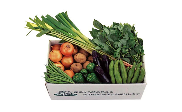 「千葉県産 旬の採りたて新鮮野菜セット」6～10品（RC-453） - Image 2
