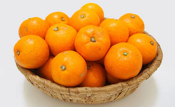 愛媛県産「温州みかん」5kg - Image 4