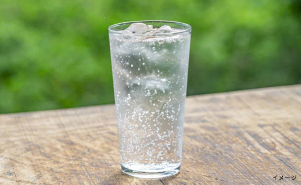 サンガリア「伊賀の天然水 強炭酸水」500ml - Image 2