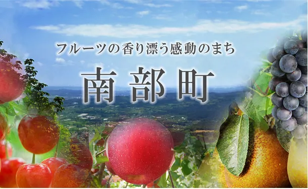 青森県産「シナノスイート」約4.5kg - Image 3