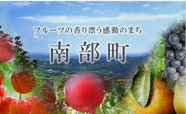 青森県産「シナノゴールド」約4.5kg - Image 3