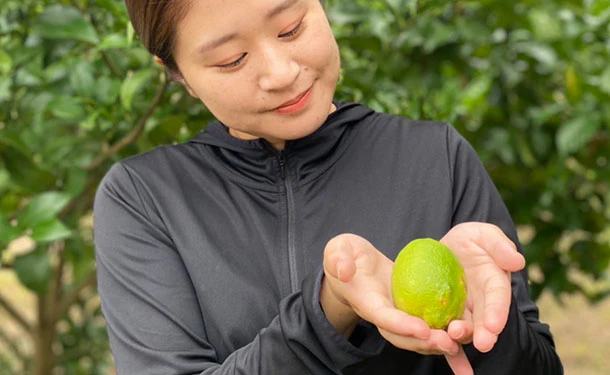 大崎上島産「【訳あり】瀬戸内レモン」5kg - Image 3