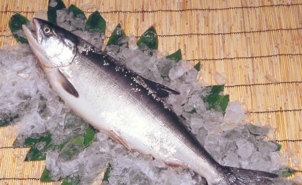 北海道産「時鮭（ときしらず）切身」80g - Image 3