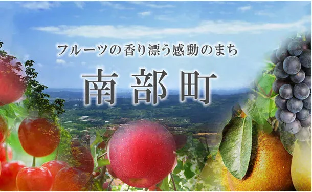 四戸農園 青森県産「特選葉とらずサンふじ」5kg（15玉前後） - Image 4