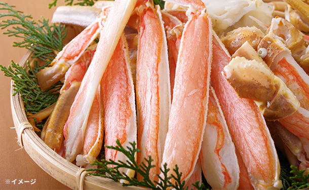 「ボイル本ずわいがに姿」500g - Image 2