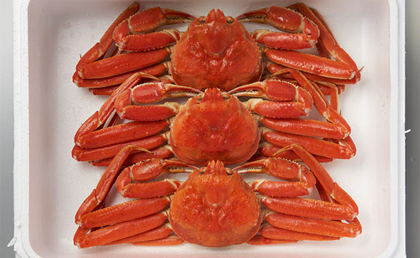 「ボイル本ずわいがに姿」500g - Image 4