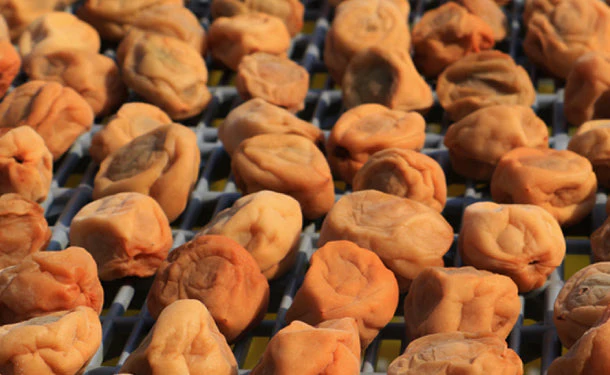 「減塩 紀州産南高梅 つぶれ梅 はちみつ味梅干し 塩分 3%」350g - Image 3