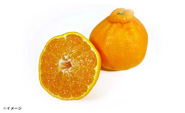 愛媛県産「不知火」5kg - Image 3