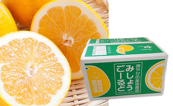 愛媛県産「河内晩柑（みしょうゴールド）」5kg - Image 2