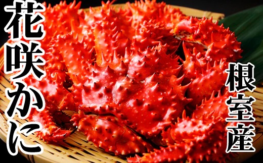 北海道根室産「脚折れ 花咲ガニ」約1.2kg（2～4尾） - Image 3
