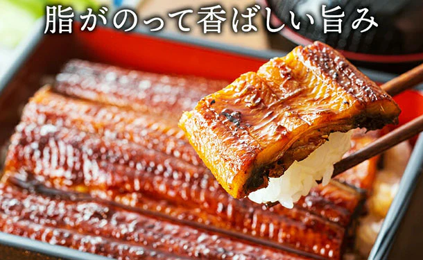 「国産うなぎのかば焼き 特大サイズ」約200g - Image 3