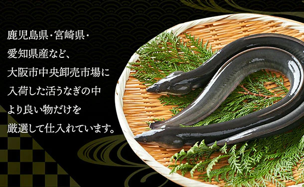 「国産うなぎのかば焼き 特大サイズ」約200g - Image 4