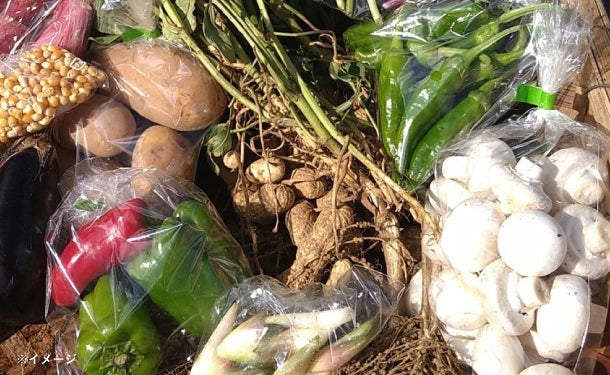 「千葉県産 野菜ボックス Sサイズ（1〜2名分）」 - Image 2