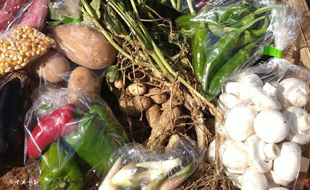 「千葉県産 野菜ボックス Mサイズ（3〜4名分）」 - Image 2
