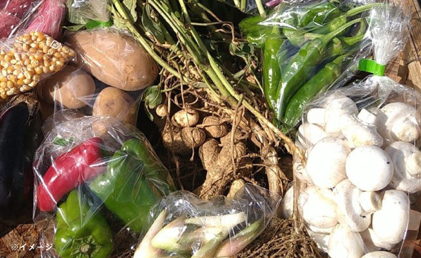 「千葉県産 野菜ボックス Lサイズ（5～6名分）」 - Image 2