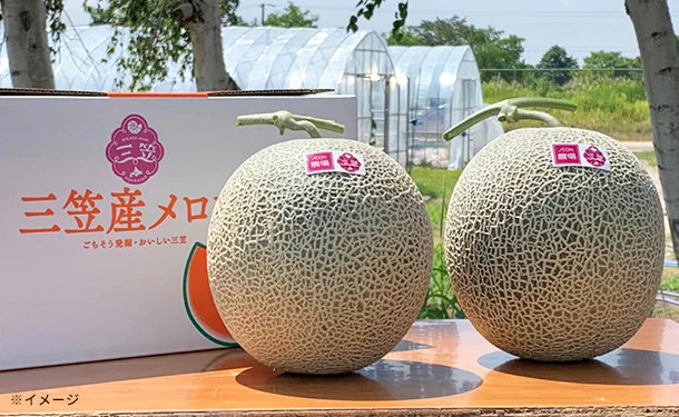 北海道三笠市産「赤肉メロン」3～5玉（約3.5kg）【クラチャレふるさとだより】 - Image 2