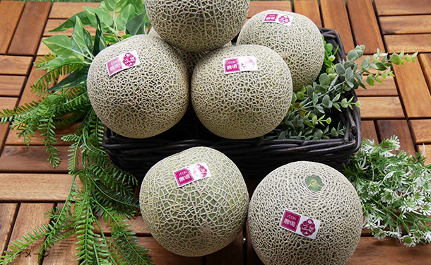 北海道三笠市産「赤肉メロン」3～5玉（約3.5kg）【クラチャレふるさとだより】 - Image 4