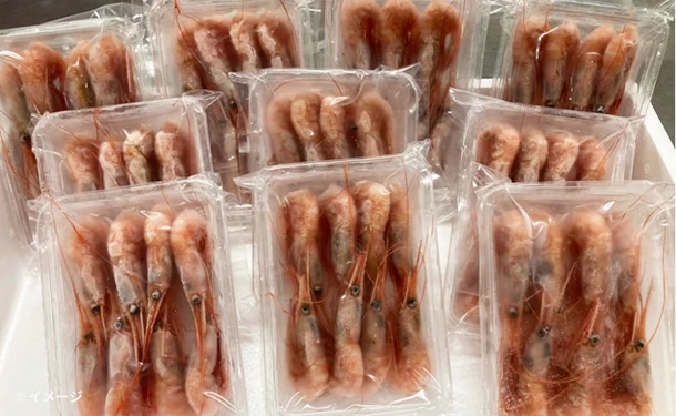 「北海道産 甘えび」100g - Image 2