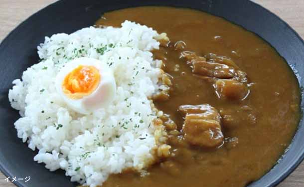 「元気豚 レトルトカレー」200g - Image 3