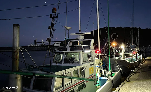 「すさみの一本釣り アカイカ」5～6杯【クラチャレふるさとだより】 - Image 6