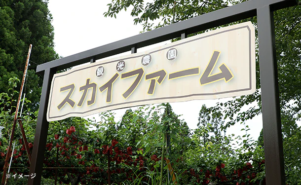島根県益田市産「家庭用 旬の梨セット」5kg【クラチャレふるさとだより】 - Image 4