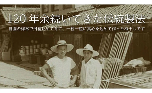 「紀州南高梅 つぶれ梅 Lサイズ しそ味（塩分8%）」400g - Image 5