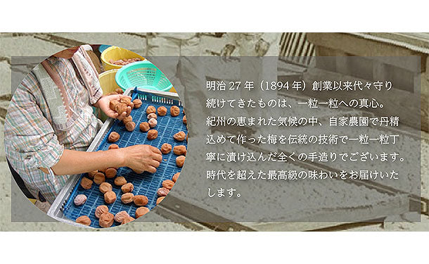 「紀州南高梅 つぶれ梅 Lサイズ しそ味（塩分8%）」400g - Image 6