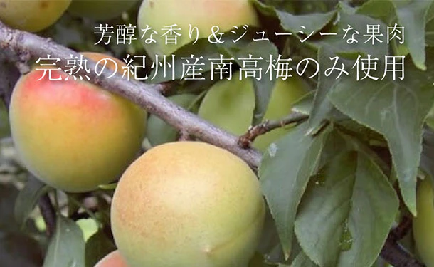 「紀州南高梅 つぶれ梅 Lサイズ はちみつ味（塩分7%）」400g - Image 7