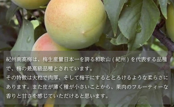 「紀州南高梅 つぶれ梅 Lサイズ しそ味・はちみつ味」各400g - Image 8