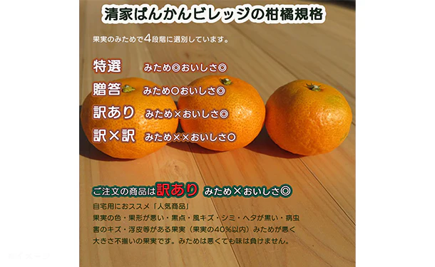 愛媛県産「おいしさ凝縮！訳あり小玉みかん（2S-S）」5kg - Image 7