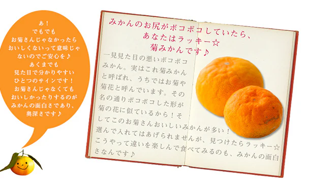 愛媛県産「吉田みかん」2kg - Image 4