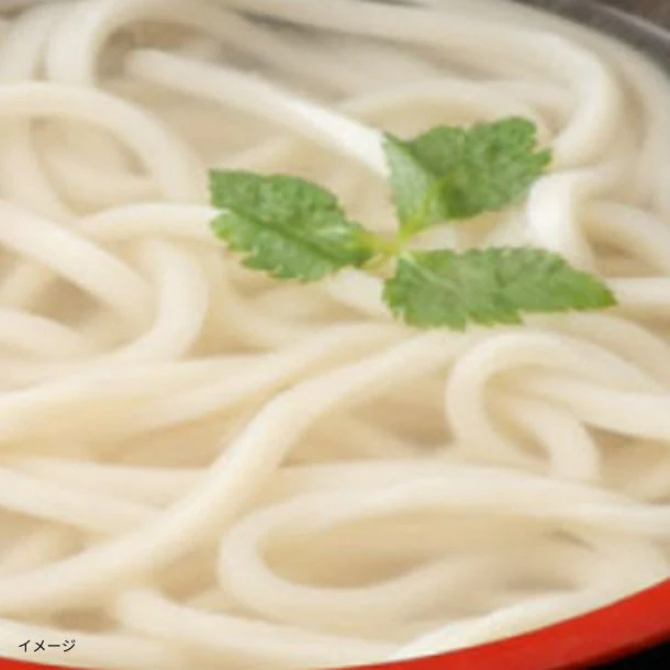 「訳あり半生極太讃岐うどん」1000g - Image 2