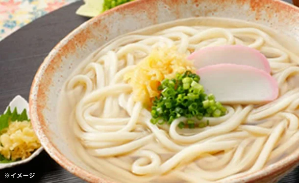 「訳あり半生讃岐うどん」1000g - Image 3