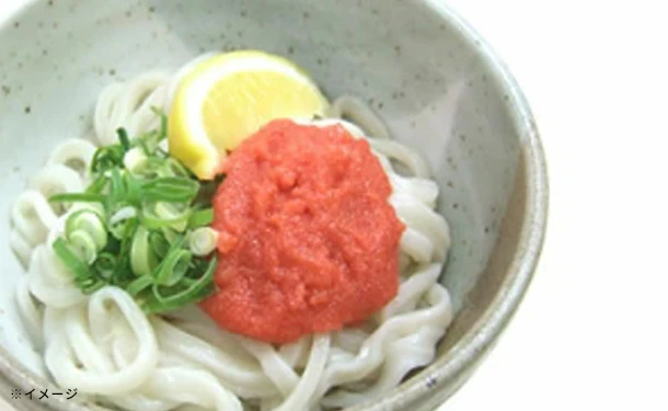 「訳あり半生讃岐うどん」1000g - Image 4
