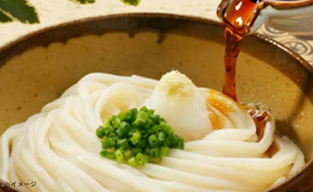 「訳あり半生讃岐うどん」1000g - Image 5