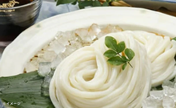 「訳あり半生讃岐うどん」1000g - Image 6