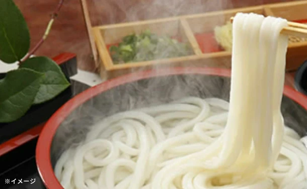 「訳あり半生讃岐うどん」1000g - Image 7