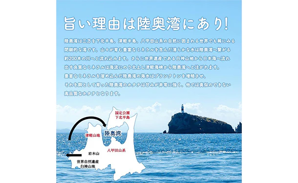 青森県産「むつ湾の活ほたて」2kg（12～14枚） - Image 3
