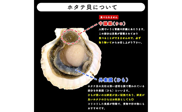 青森県産「むつ湾の活ほたて」2kg（12～14枚） - Image 5