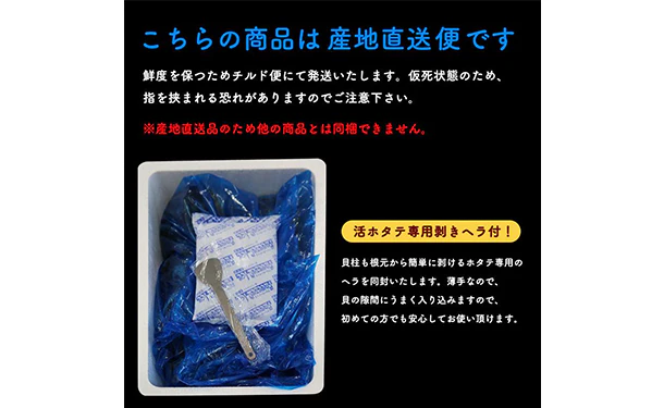 青森県産「むつ湾の活ほたて」2kg（12～14枚） - Image 6