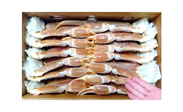 「船凍生ズワイ蟹 5Lサイズ」5kg - Image 2