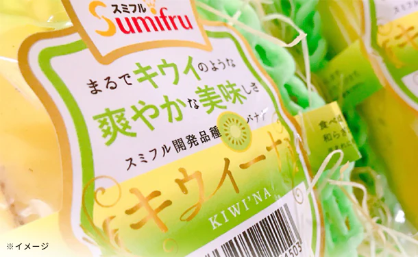 スミフル「バナナ（キウイーナ）」12パック - Image 5