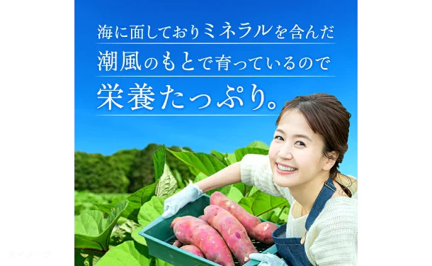 茨城県産「訳あり 干し芋」500g - Image 6