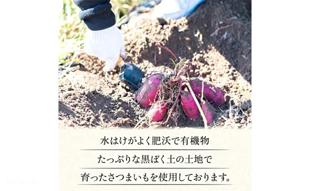 茨城県産「訳あり 干し芋」1kg - Image 6