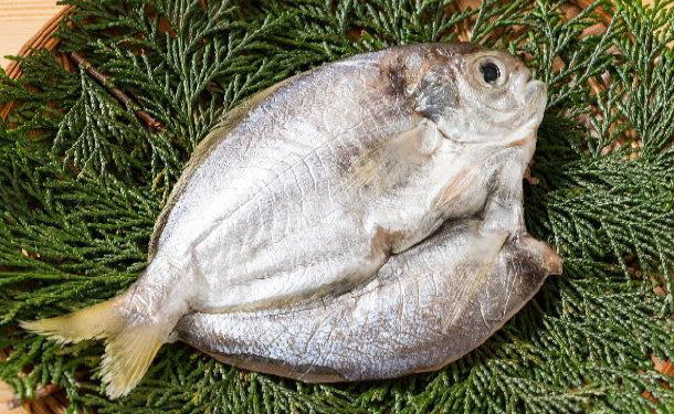 「特大えぼだいの干物」6尾 - Image 2