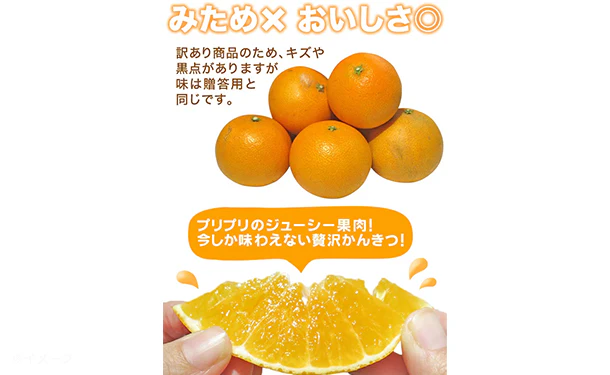 愛媛県産「訳ありみかん まどんな（愛果28号）」2kg - Image 3