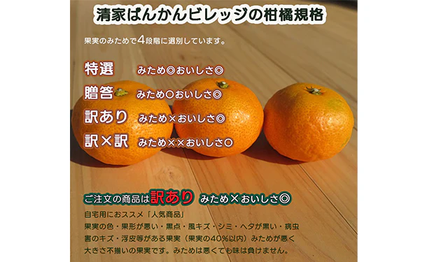 愛媛県産「訳ありみかん まどんな（愛果28号）」5kg - Image 4