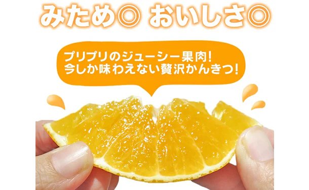 愛媛県産「秀品みかん まどんな（愛果28号）」約3kg（10～15玉） - Image 3