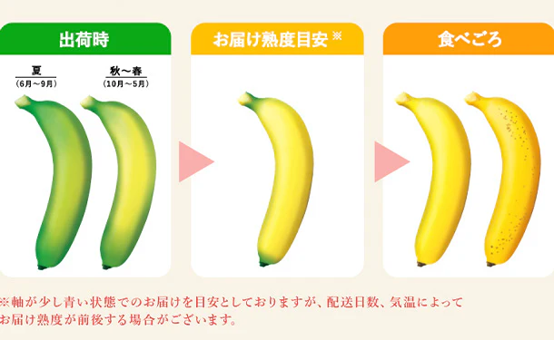 【BtoB】【木更津用】スミフル訳ありバナナ15kg - Image 6