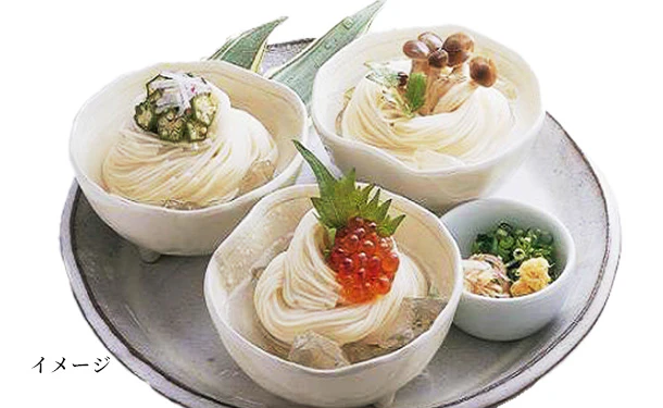 さぬきシセイ「讃岐ひやむぎ 200g」10袋入 - Image 2